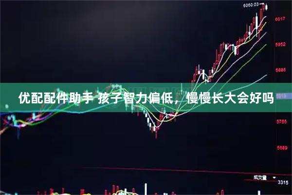 优配配件助手 孩子智力偏低，慢慢长大会好吗