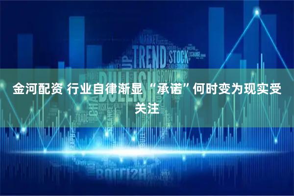 金河配资 行业自律渐显 “承诺”何时变为现实受关注