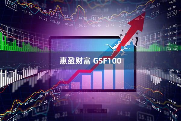 惠盈财富 GSF100