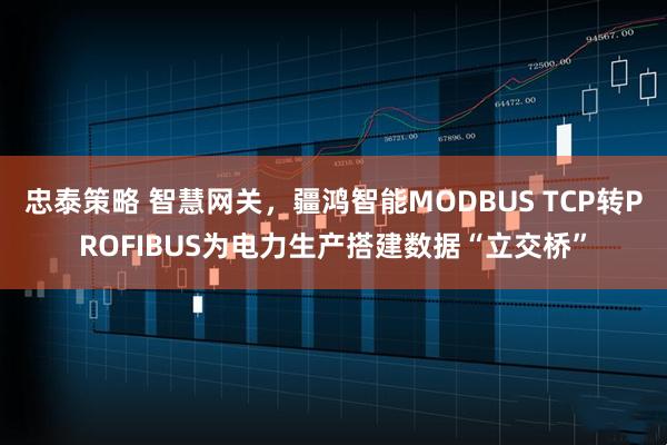 忠泰策略 智慧网关，疆鸿智能MODBUS TCP转PROFIBUS为电力生产搭建数据“立交桥”