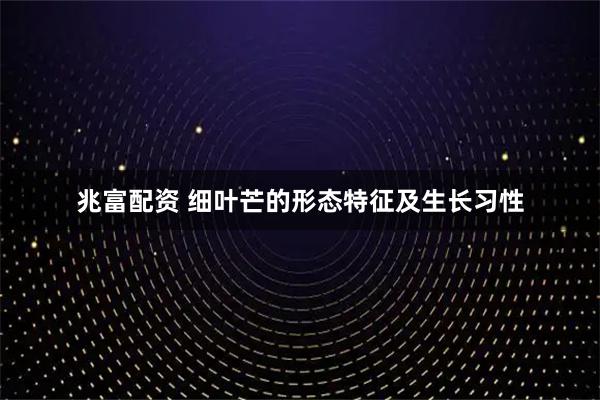 兆富配资 细叶芒的形态特征及生长习性